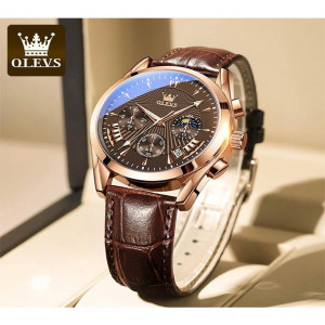 LEVS 2876 Casual Men Watch Men Wristwatch Luxury Luminous Quartz Watch Business Classic Brown